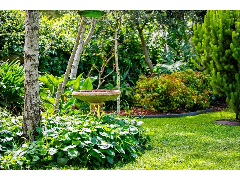 31 Kalinga Road, Ocean Grove VIC 3226