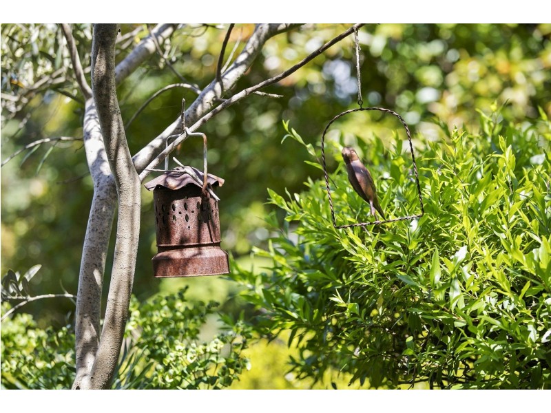 48-50 Aldebaran Road, Ocean Grove VIC 3226