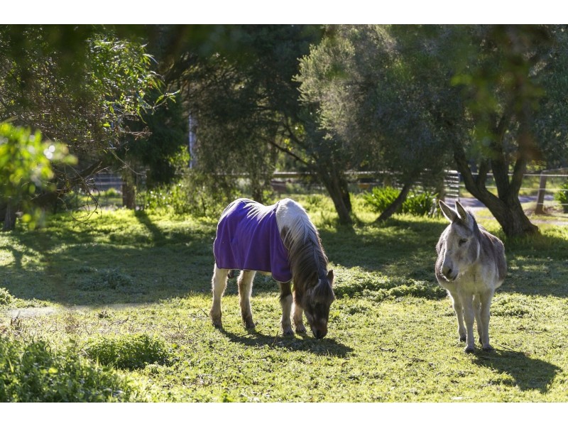 15 Basin Road, Drysdale VIC 3222