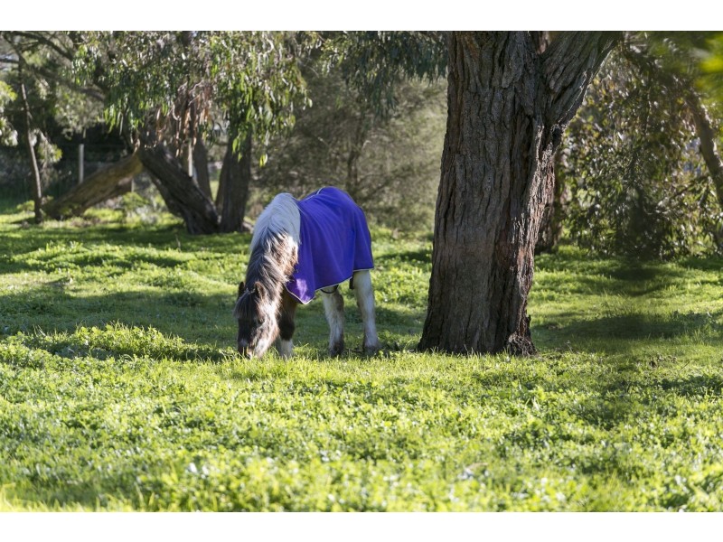 15 Basin Road, Drysdale VIC 3222