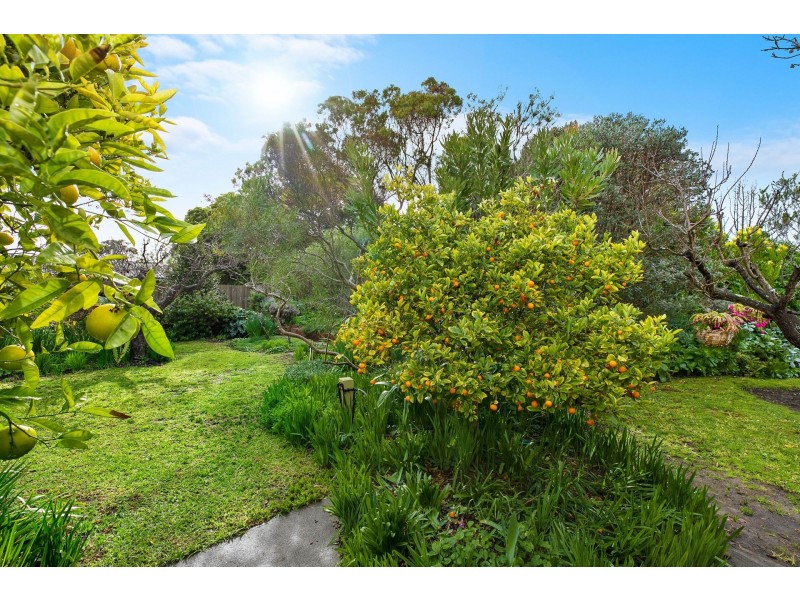 93 Madeley Street, Ocean Grove VIC 3226