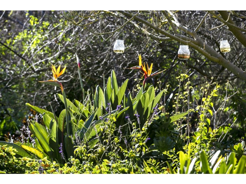 450-452 Wallington Road, Wallington VIC 3221