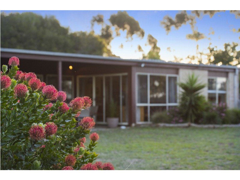 17-19 Buccleugh Street, Drysdale VIC 3222