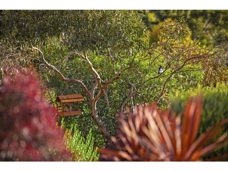 81-85 High Ridge Drive, Clifton Springs VIC 3222