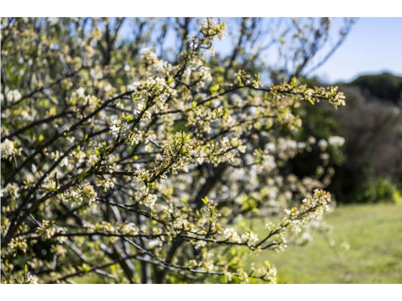 1795 Barwon Heads Road, Barwon Heads VIC 3227