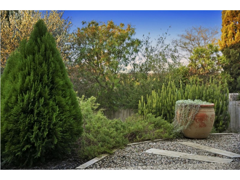 32 Leonard Drive, Clifton Springs VIC 3222