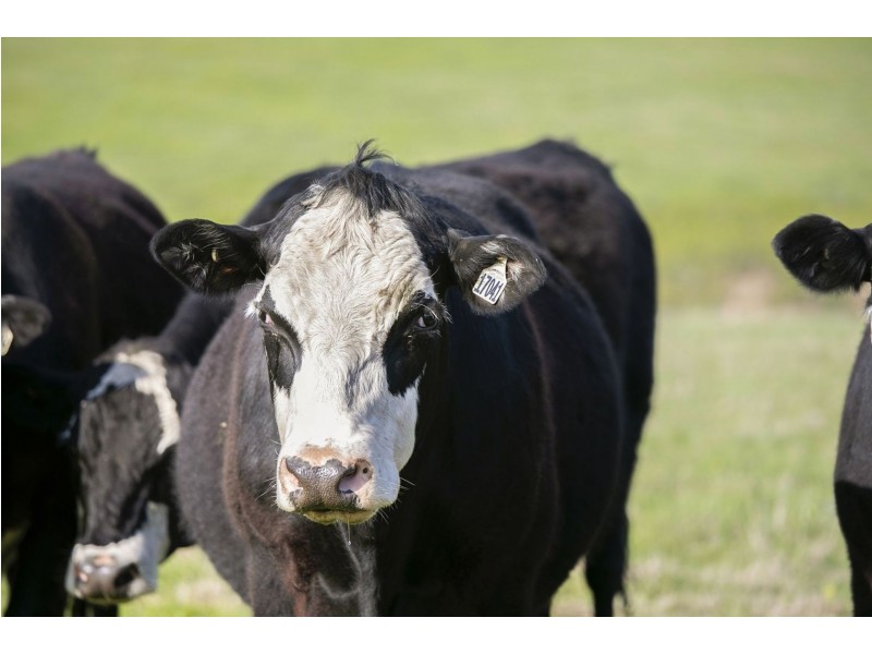 187-213 Ash Road, Leopold VIC 3224