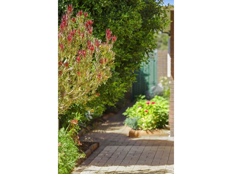 25 Nelson Road, Point Lonsdale VIC 3225