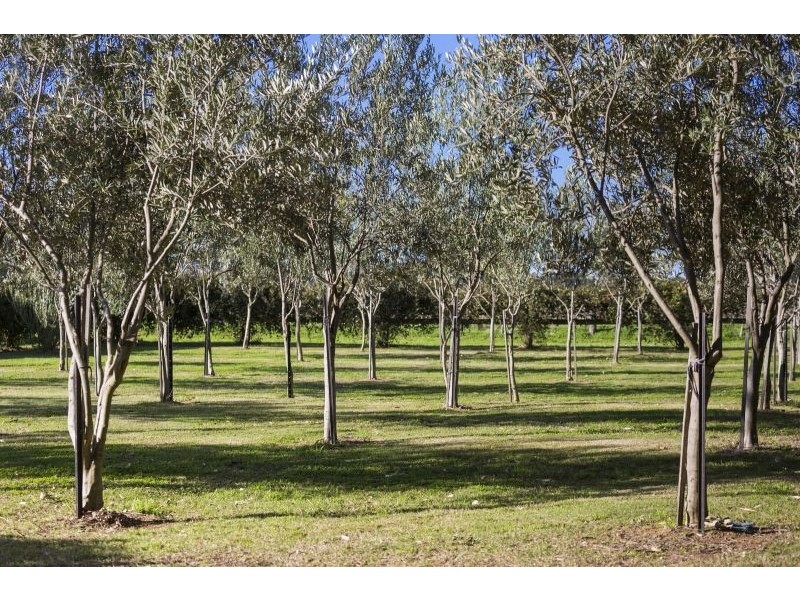 570 Bluestone School Road, Barwon Heads VIC 3227