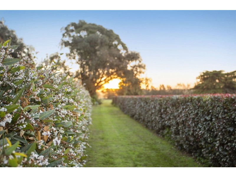 570 Bluestone School Road, Barwon Heads VIC 3227