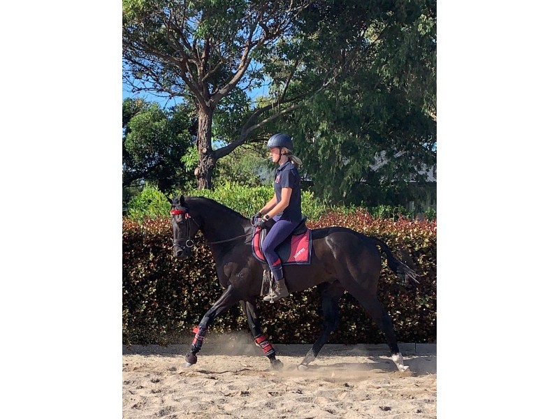 570 Bluestone School Road, Barwon Heads VIC 3227