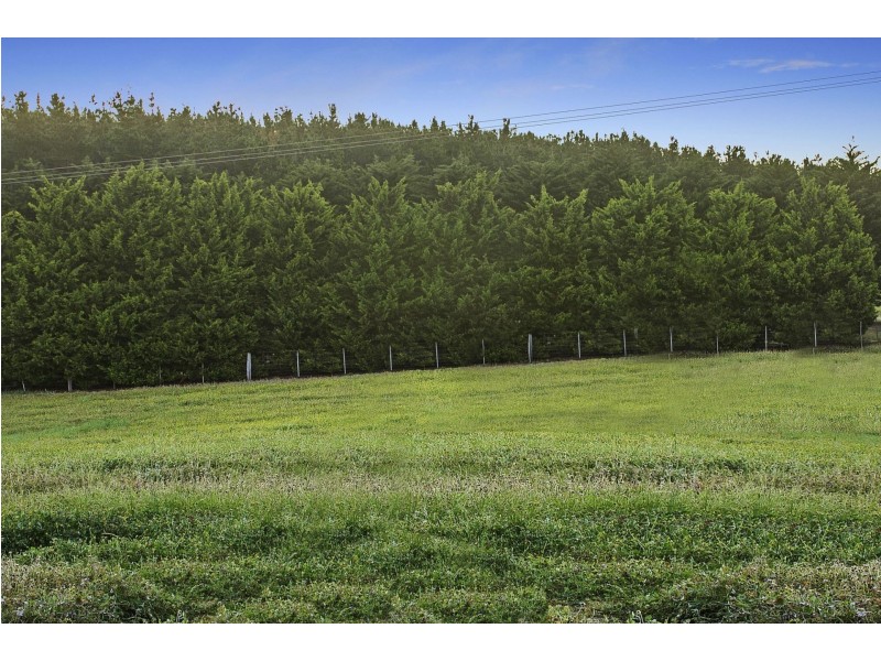 245 Curlewis Road, Wallington VIC 3221