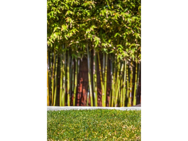 15/12 Driftwood Street, Ocean Grove VIC 3226