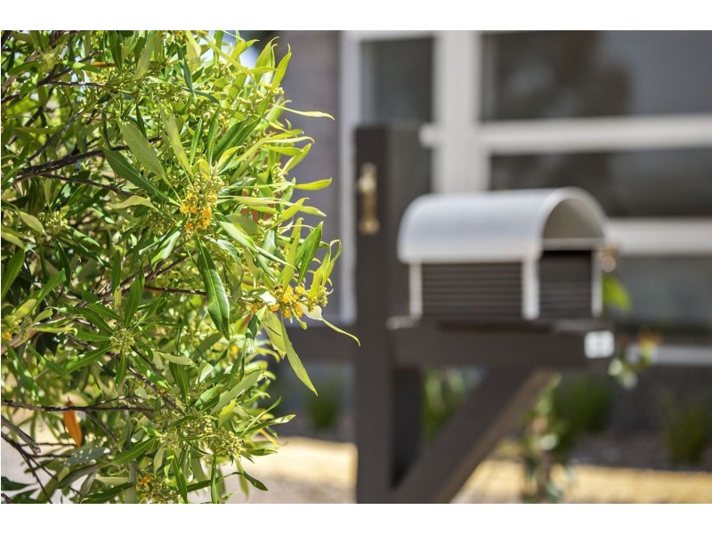 1 La Bella Street, Ocean Grove VIC 3226