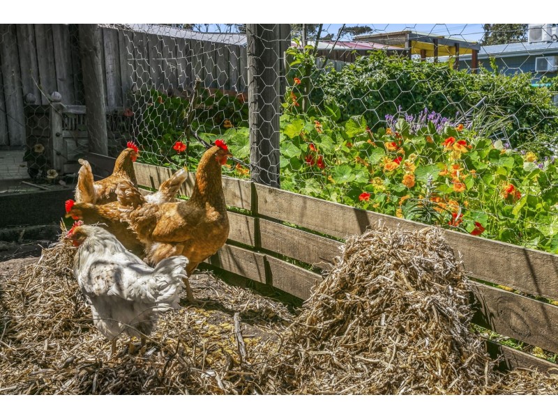 2 Sunset Strip, Ocean Grove VIC 3226