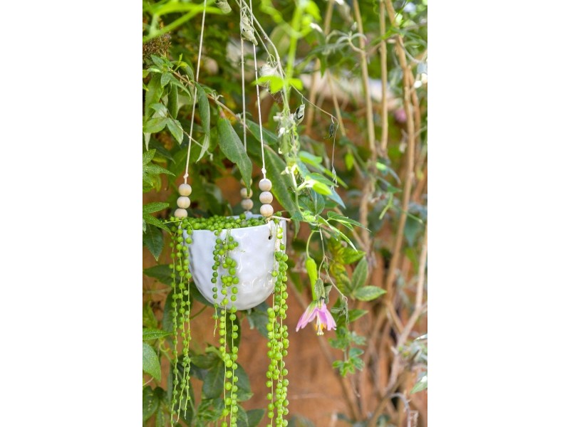 2/10 Draper Street, Ocean Grove VIC 3226