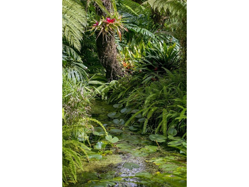 19-23 High Ridge Drive, Clifton Springs VIC 3222