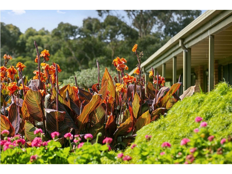 19-23 High Ridge Drive, Clifton Springs VIC 3222