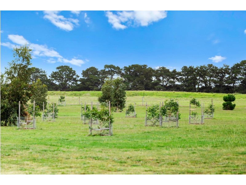 26 Samphire Drive, Connewarre VIC 3227