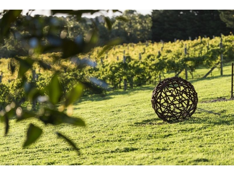 221-229 Whitcombes Road, Drysdale VIC 3222