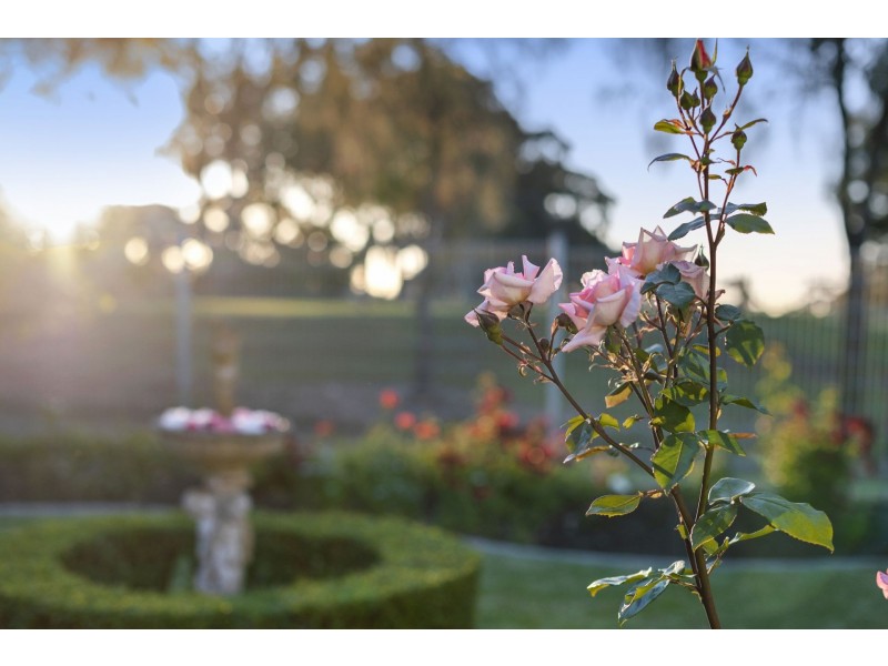 96 Country Club Drive, Clifton Springs VIC 3222