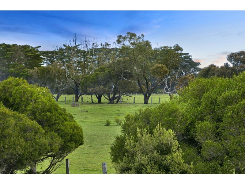 36 Saratoga Avenue, Barwon Heads VIC 3227