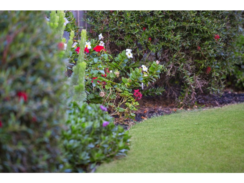 8-10 Dalkeith Crescent, Ocean Grove VIC 3226