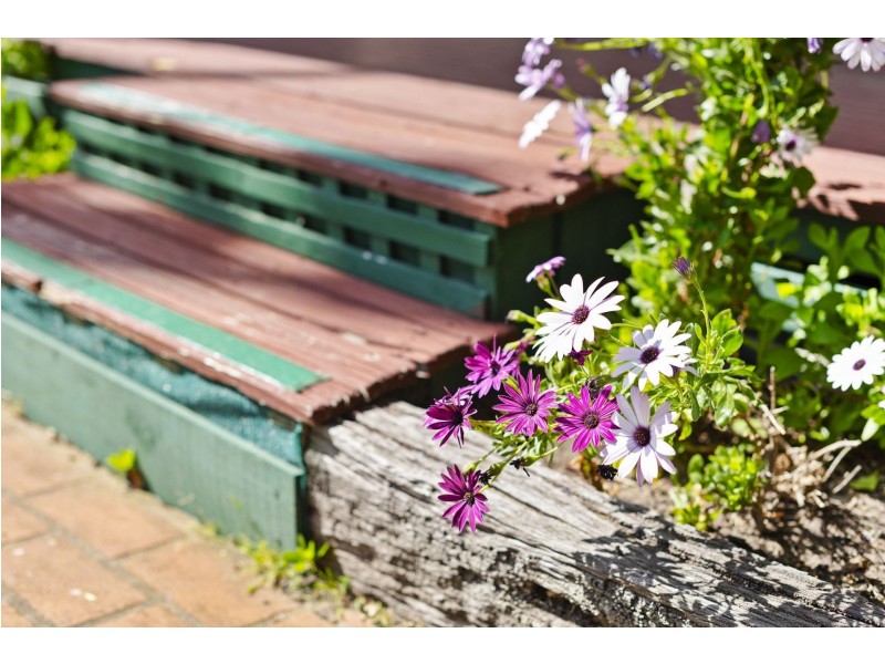 91 Sunset Strip, Ocean Grove VIC 3226