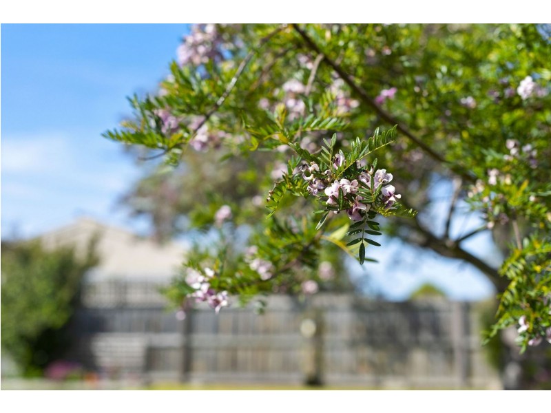 91 Sunset Strip, Ocean Grove VIC 3226