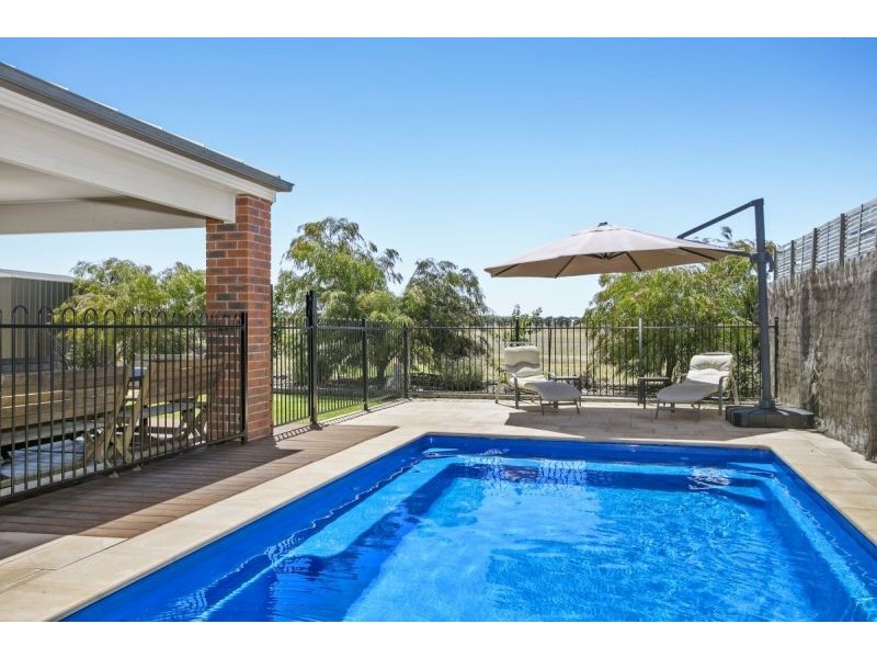 31 Curzon Drive, Ocean Grove VIC 3226