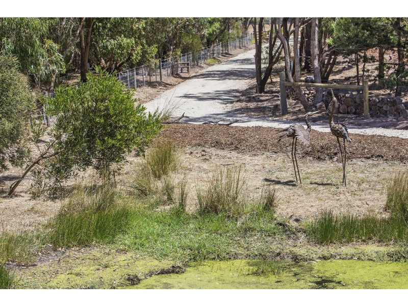 51 Graham Lane, Connewarre VIC 3227