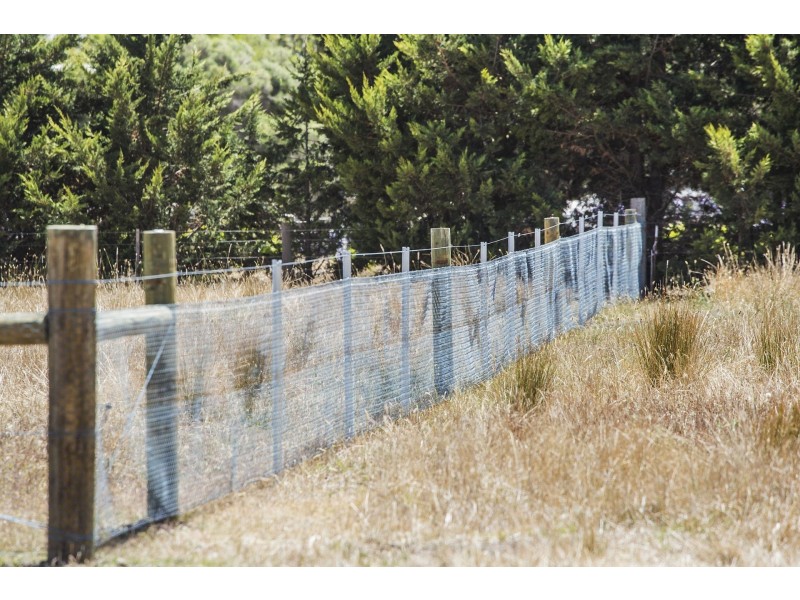 51 Graham Lane, Connewarre VIC 3227