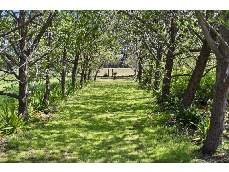 405 Melaluka Road, Leopold VIC 3224