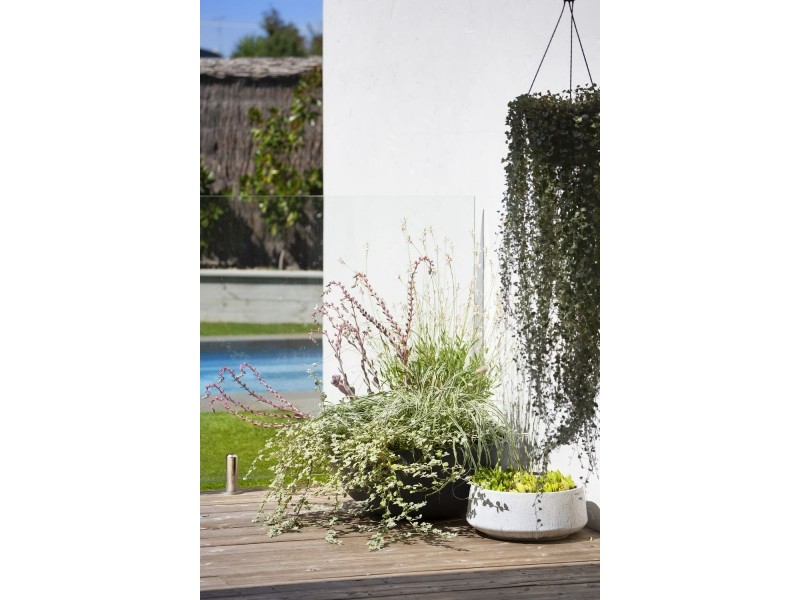 9 Sunrise Close, Ocean Grove VIC 3226