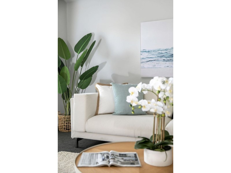 6 Merlan Street, Ocean Grove VIC 3226