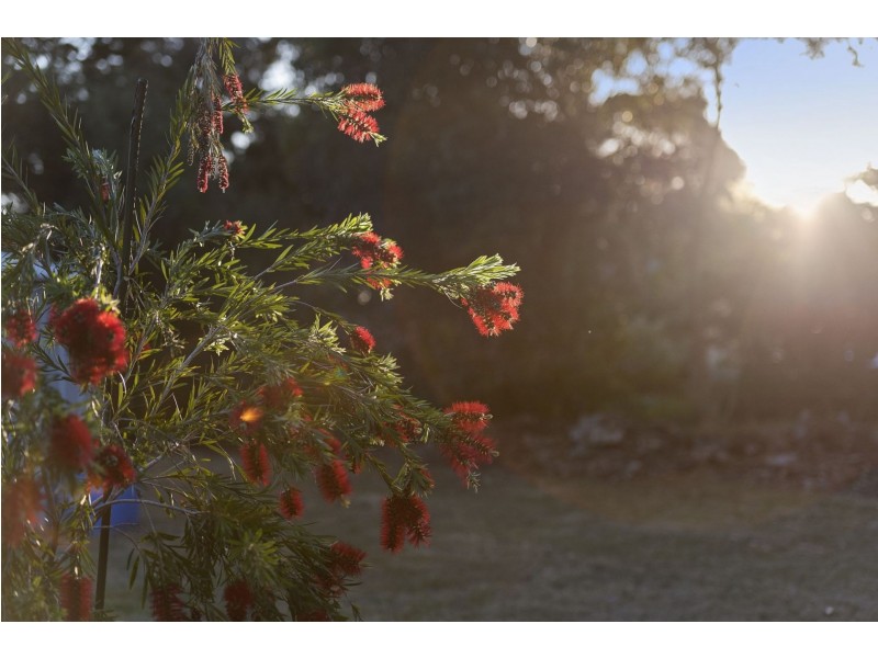 193-195 Thacker Street, Ocean Grove VIC 3226