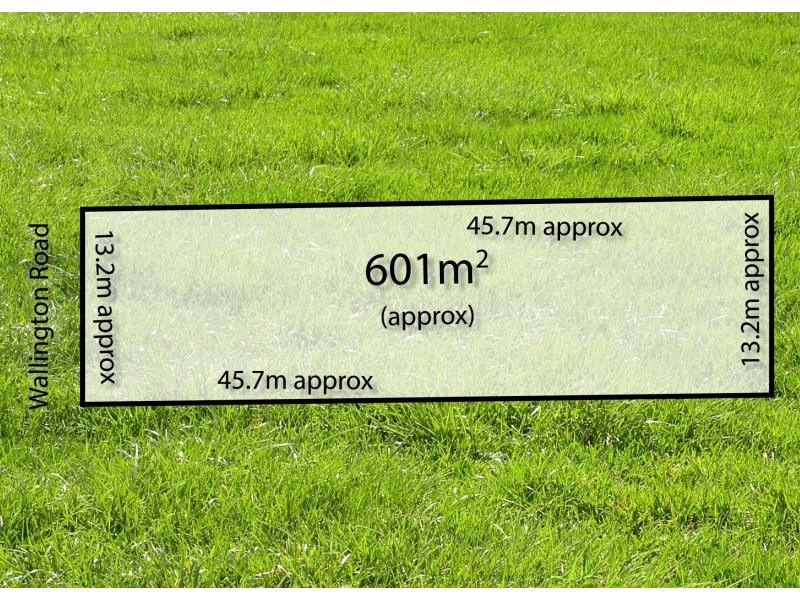 38B Wallington Road, Ocean Grove VIC 3226