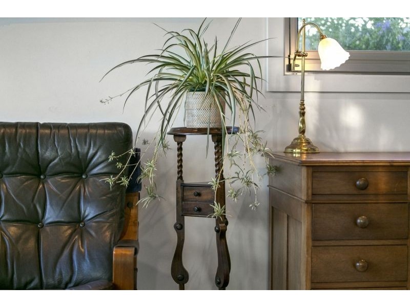 24 Ozone Street, Indented Head VIC 3223