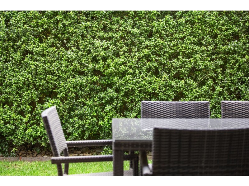 2/19 Reid Street, Barwon Heads VIC 3227