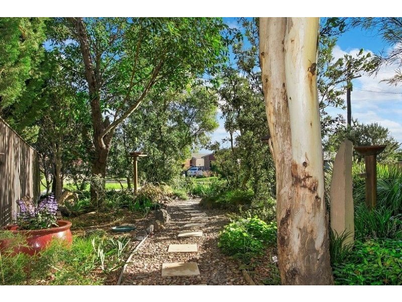 97 Dandarriga Drive, Clifton Springs VIC 3222