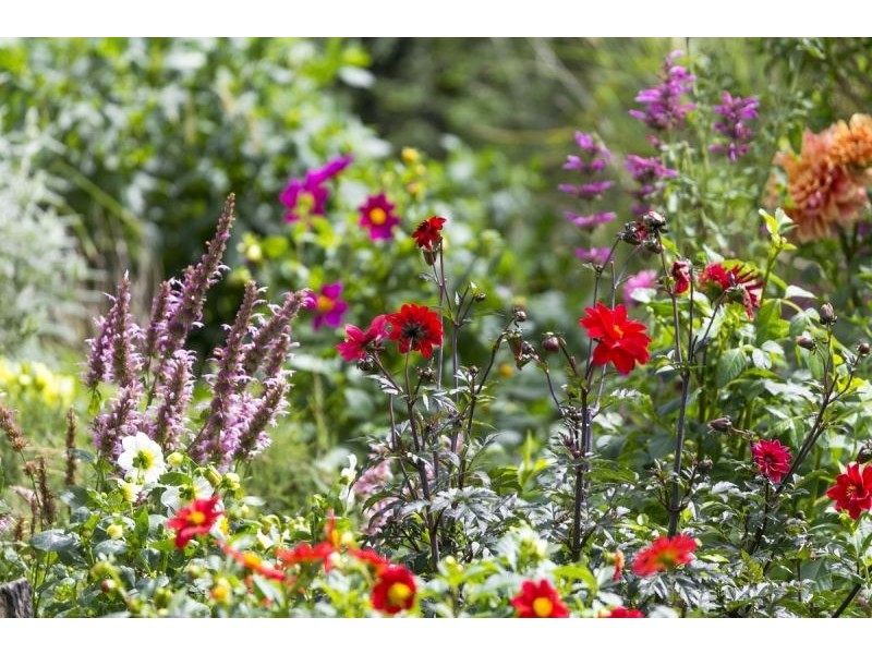 1-9 Drakes Road, Drysdale VIC 3222