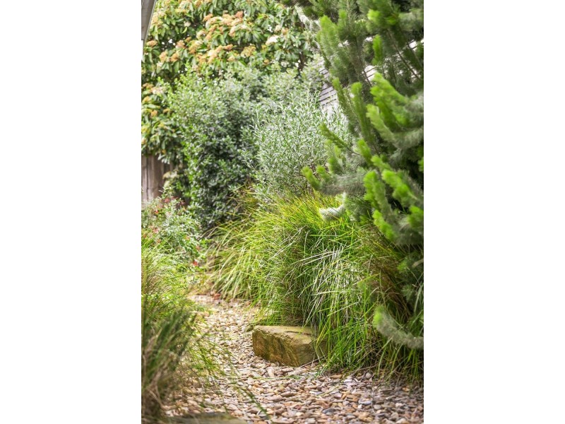 2/53 Madeley Street, Ocean Grove VIC 3226