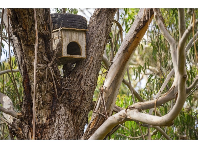 56-58 Yellow Gum Drive, Ocean Grove VIC 3226