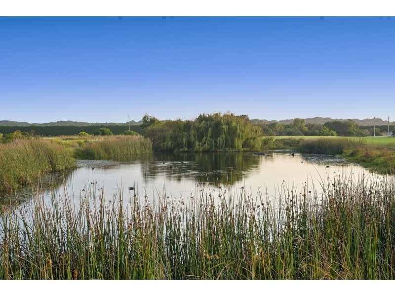 99 Bonnyvale Road, Ocean Grove VIC 3226