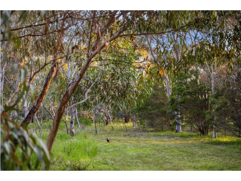 145 Bluestone School Road, Connewarre VIC 3227