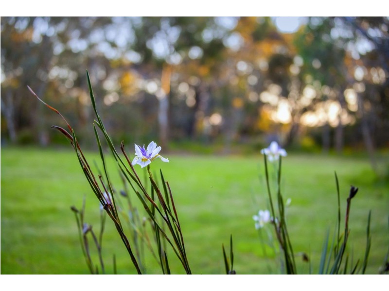 145 Bluestone School Road, Connewarre VIC 3227