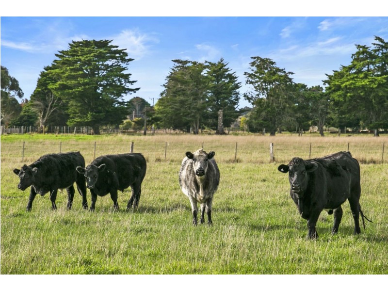 402-440 Lake Road, Connewarre VIC 3227