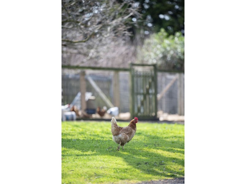 112-150 Church Road, Bellarine VIC 3221