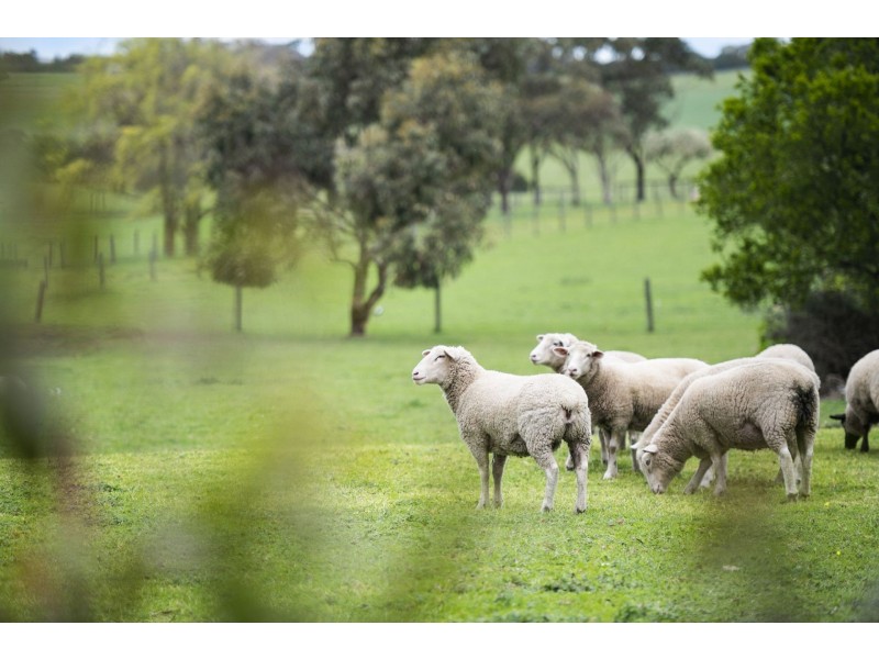 112-150 Church Road, Bellarine VIC 3221