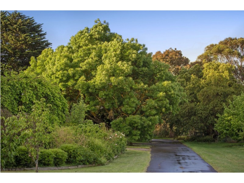 361-409 Swan Bay Road, Mannerim VIC 3222